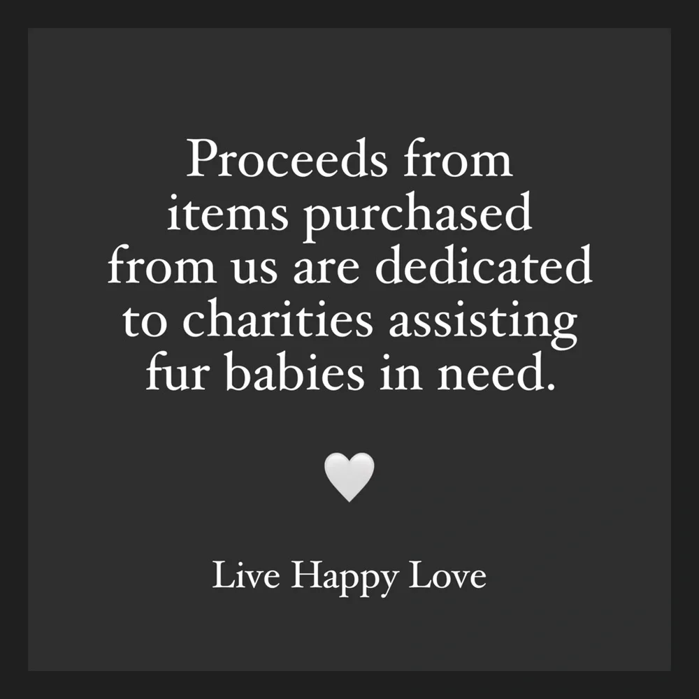 RARE Frankie B Pink Lowrise Cargo Pants Size 0 - Picture 12 of 12